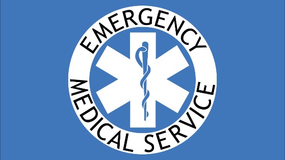 EMS Flag